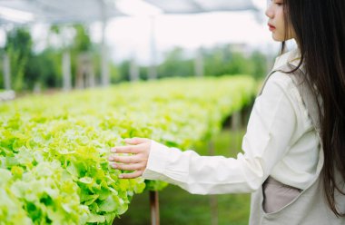 Genç bir kadın dingin sera ortamında canlı yeşil marullara dokunarak organik tarım ve sürdürülebilir tarımın güzelliğini vurguluyor..