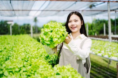 Mutlu bir kadın serada taze marul hasat ediyor, tarımın güzelliğini ve sürdürülebilir gıda üretimindeki önemini gösteriyor..