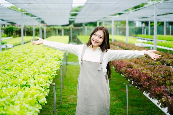 Neşeli bir kadın, canlı yapraklı sebzelerle çevrili bir serada duruyor. Doğayla ve çiftçiliğin güzelliğiyle bağlantı kuruyor..