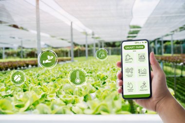 Bir el, verimli yeşilliklerle dolu bir serada akıllı tarım verilerini gösteren bir akıllı telefonu tutuyor. Bu, modern tarımın verimliliği ve üretkenliği artırmak için yüksek teknolojili çözümlerini vurguluyor.