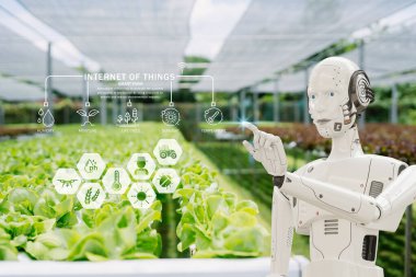 Bir robot figür sera ortamında etkileşime girer, tarımda IOT teknolojisi sergiler. Akıllı çiftçilikte izleme ve otomasyon yoluyla gelişmeleri somutlaştırır..