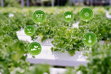 Yenilikçi akıllı tarım teknolojisi tarımda IoT sistemlerini entegre ederek, ürün yönetimi için veri güdümlü çözümler yoluyla bitki büyümesini ve sürdürülebilirliği artırır.