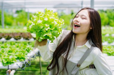Genç bir kadın sürdürülebilir bir bahçede taze yeşil marul tutuyor, mutluluk ve doğa ile bağlantı yayıyor. Bu canlı sahne, açık hava çiftçiliğinin ve sağlıklı yaşamın güzelliğini yansıtıyor..