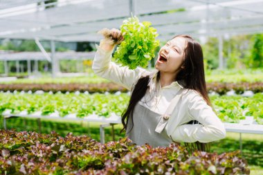 Neşeli genç bir kadın, canlı yeşilliklerle çevrili bir serada taze marul tutuyor. Bu görüntü mutluluk, sağlık ve organik tarım sevgisini yansıtıyor..