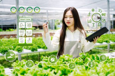 Seradaki bir kadın bitkilerin sağlığını izlemek için akıllı tarım teknolojisi kullanıyor. Sahne, tarımda IoT uygulamalarıyla dijital yenilikler sergiliyor.
