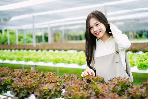 Genç bir kadın canlı marullarla dolu bir serada dururken gülümsüyor. Bu resim sürdürülebilir çiftçiliği, sağlıklı yaşamı ve bitkileri beslemenin sevincini gösteriyor..