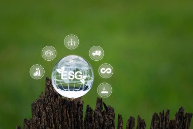 Bu resim, ESG kavramlarını sembolize eden, ahşap bir kütüğe yerleştirilmiş, bulanık yeşil bir arkaplanı sembolize eden cam bir küreyi gösteriyor. Sürdürülebilirliği ve ekolojik farkındalığı temsil eder..