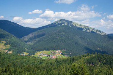 Güneşli bir günde Ukrayna Karpatlar 'ın yaz manzarası