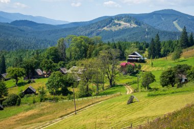 Yaz mevsiminde yeşil çimenleri ve ağaçları olan köy.