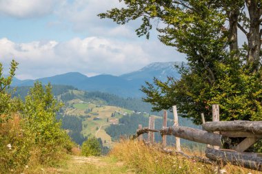 Yazın güzel dağ manzarası