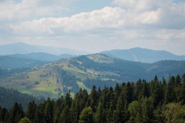 Arka planda dağlar ve ormanlar olan güzel yaz manzarası