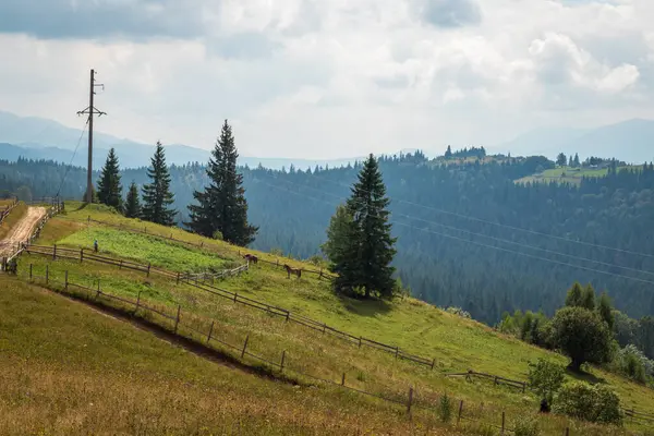 Karpatlar 'da güzel bir dağ manzarası