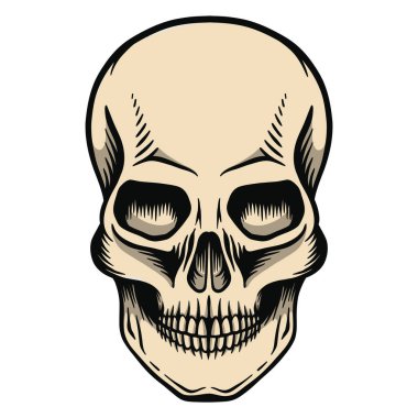 Human skull with a lower jaw clipart