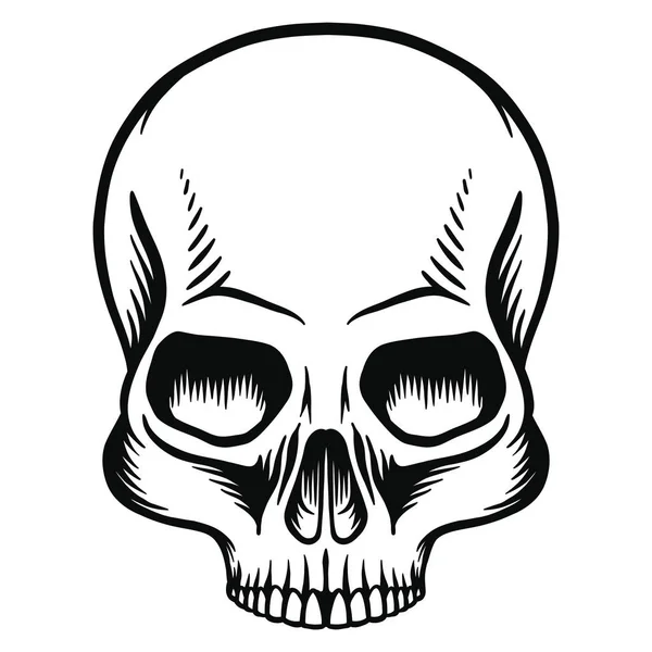Human Skull Lower Jaw Out Line — Stock Vector