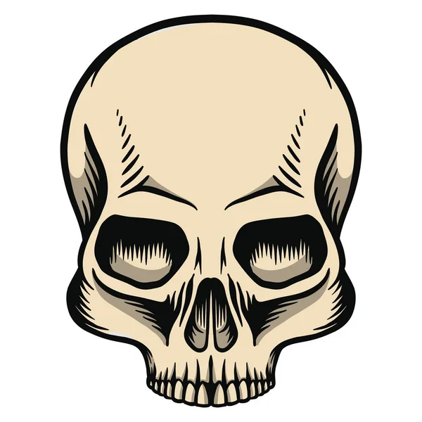 Cráneo Humano Sin Mandíbula Inferior — Vector de stock