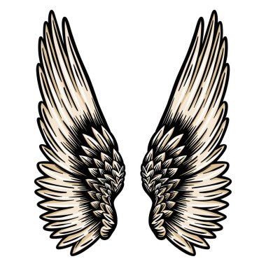 Tüylü melek kanatları - el çizimi - vektör çizimi