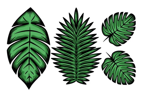 Различные Рисунки Тропических Листьев Векторные Иллюстрации — стоковый вектор
