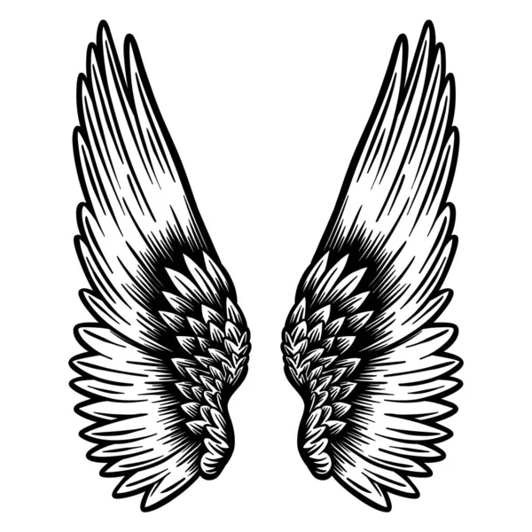Angel Wings Feathers Hand Drawn Vector Illustration Out Line — Stock Vector