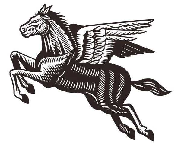 Cavalo Mitológico Pegasus Voador Com Asas — Vetor de Stock