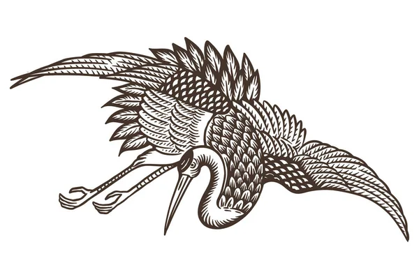 Японские Крановые Птицы Белом Фоне Векторная Иллюстрация — стоковый вектор