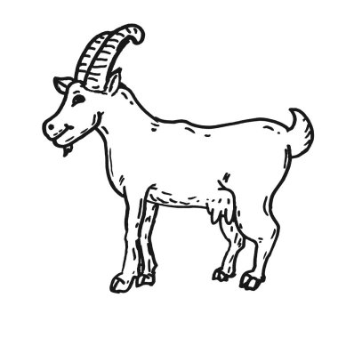 Elle çizilmiş bir keçi resmi.