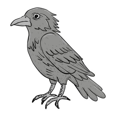 siyah ve beyaz karga çizimi