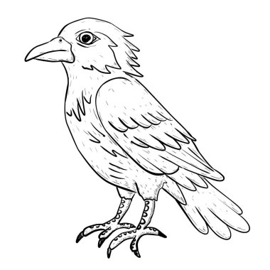 Bir kuşun el çizimi.