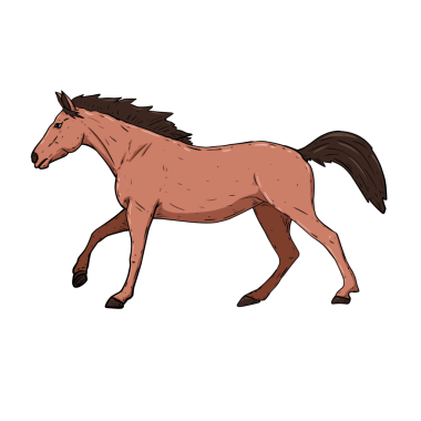 İzole edilmiş atın çizimi