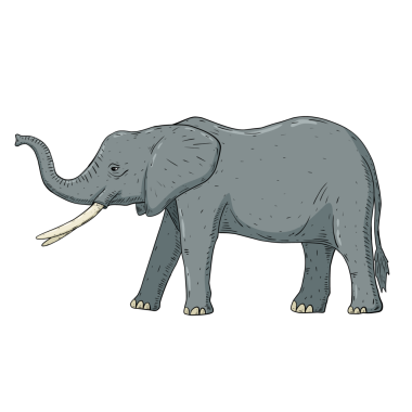 Fil karikatürü çizimi izole edildi