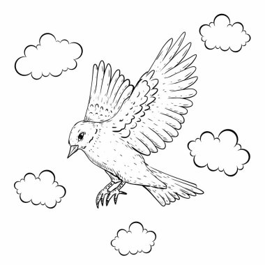 Bulutlar Arasında Uçan Kuş Çizimi