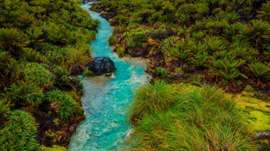 San Juan Kaplıcaları, Purac, Cauca, Kolombiya 'daki yemyeşil sulardan akan turkuaz sularının çarpıcı manzarası.