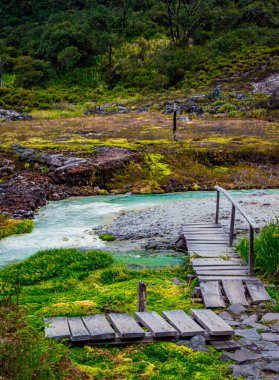 Termen de San Juan 'daki yemyeşil arazi, Purac, canlı bitki örtüsünün ortasındaki termal akarsu üzerinde ahşap bir köprü içeriyor.