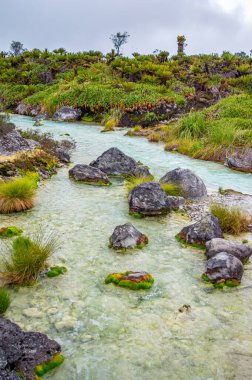 Purace, Cauca 'daki San Juan kaplıcalarının sakin manzarası yemyeşil kayaların arasından akan berrak suları sergiliyor.