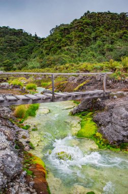 Purac, Cauca 'daki San Juan kaplıcalarının manzarası, canlı yeşil yosun ve yemyeşil tepelerle çevrili berrak akarsu