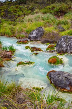 Purac, Cauca 'daki San Juan kaplıcalarının sakin manzarası, yemyeşil ve kaynayan termal suların olduğu