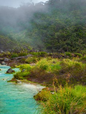 Purac, Cauca, Kolombiya 'daki San Juan Kaplıcaları' nın termal suları yemyeşil ve sisli atmosferle çevrili.