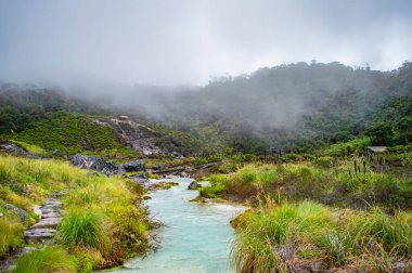 Purac, Cauca, Kolombiya 'daki San Juan Kaplıcaları' nın termal suları yemyeşil ve sisli atmosferle çevrili.