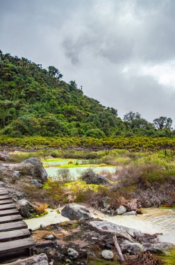 Purac, Cauca 'daki San Juan kaplıcalarının güzel manzarası, yemyeşil tepeler ve buharlı termal sular.
