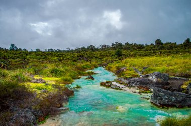 San Juan 'ın canlı mavi termal sularının manzarası Purac, Cauca, Kolombiya' da yemyeşil sularla çevrili.