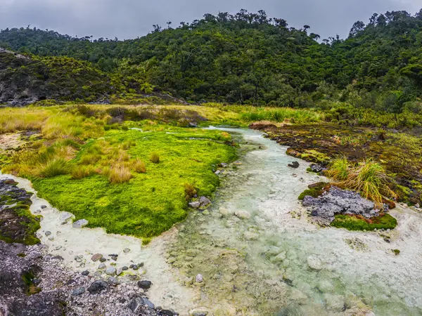 Purace, Cauca, Kolombiya 'daki dingin San Juan kaplıcalarını deneyin, verimli manzaralar ve canlı jeotermal aktivitelerle çevrili.