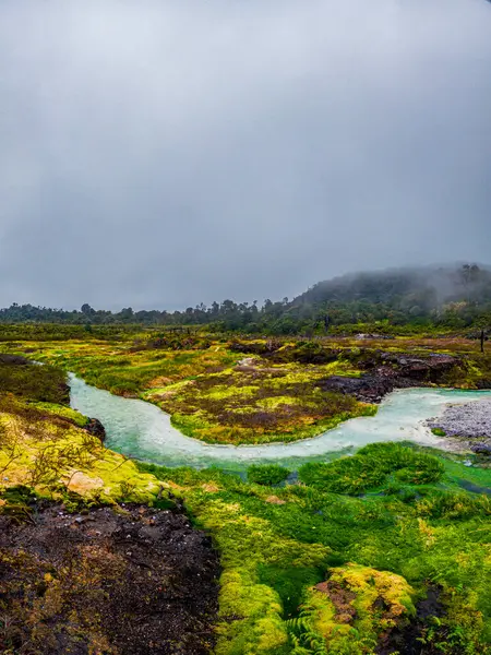 San Juan Kaplıcaları, Purac, Cauca 'daki yemyeşil arazi ve termal suların büyüleyici görüntüsü Kolombiya' nın doğal güzelliğini gözler önüne seriyor.