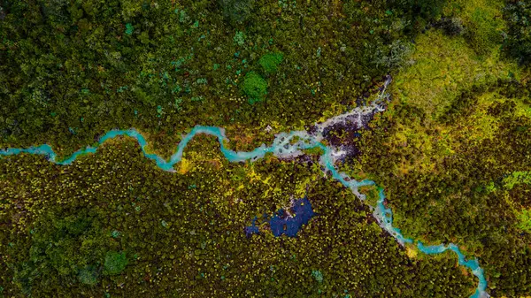 Purac, Cauca 'daki San Juan kaplıcalarının çarpıcı hava manzarası yemyeşil ve termal su akıntılarını gösteriyor.