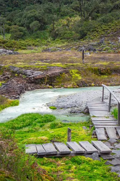 San Juan Kaplıcaları 'nın dingin manzarası yemyeşil bitki örtüsü ve parlak manzaranın içinden geçen ahşap bir yol.
