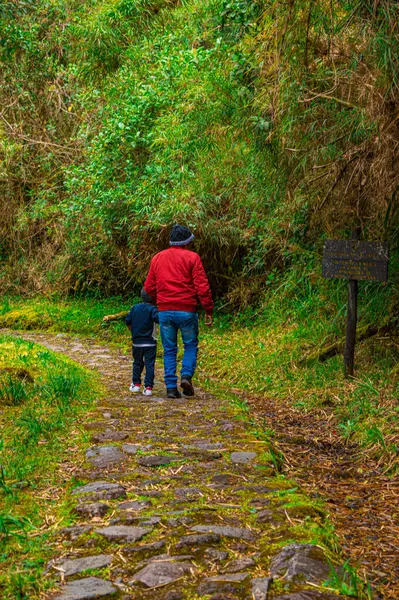 Bir baba ve çocuk, San Juan, Purac, Cauca, Kolombiya 'nın yemyeşil yeşilliklerinde, taştan bir yolda el ele yürüyorlar.