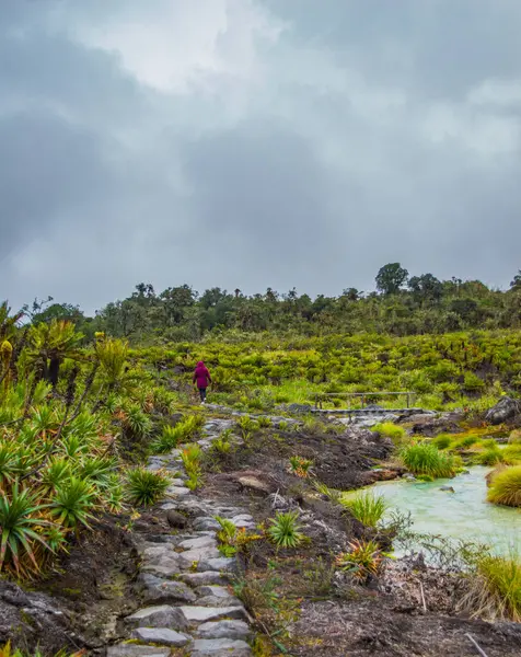 Purace, Cauca 'daki San Juan kaplıcalarının manzarası yemyeşil ve bulutlu gökyüzünün altında sıcak bir bahar havuzu.