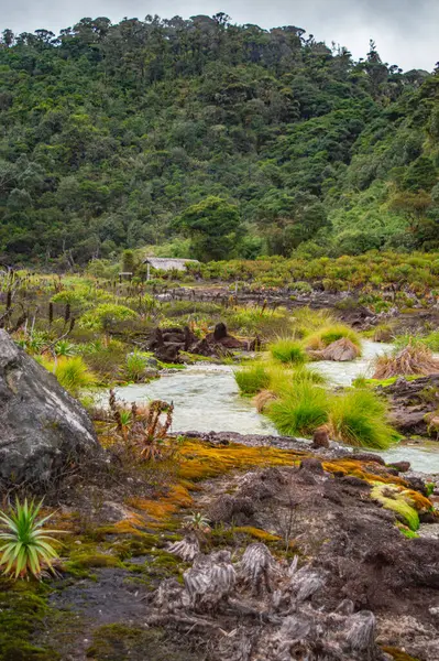 Purac, Cauca 'daki San Juan kaplıcalarının sakin manzarası, yemyeşil, kayalık arazi ve akan su, eko-turizm için mükemmel.