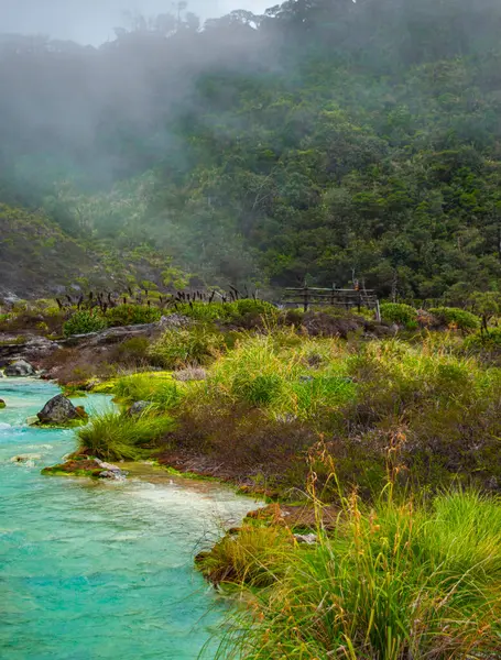 Purac, Cauca, Kolombiya 'daki San Juan Kaplıcaları' nın termal suları yemyeşil ve sisli atmosferle çevrili.
