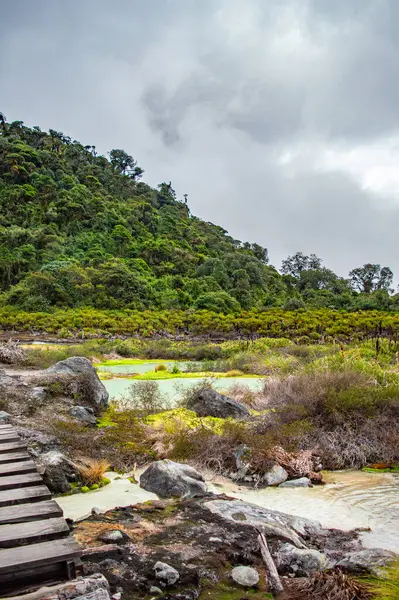 Purac, Cauca 'daki San Juan kaplıcalarının güzel manzarası, yemyeşil tepeler ve buharlı termal sular.