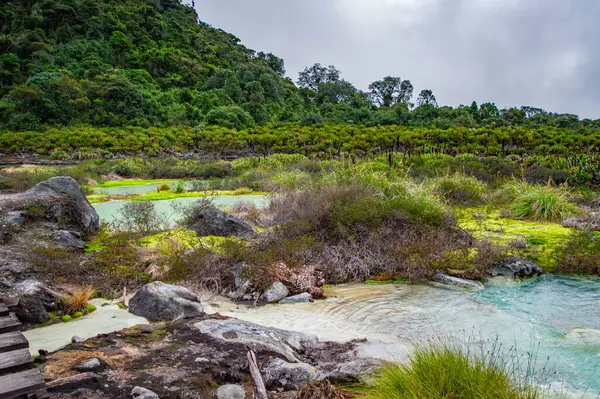 Purac, Cauca 'daki San Juan kaplıcalarının güzel manzarası, yemyeşil ve termal suları var, rahatlamak için mükemmel.
