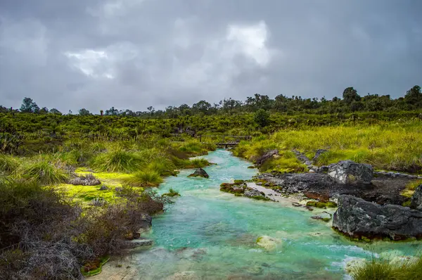 San Juan 'ın canlı mavi termal sularının manzarası Purac, Cauca, Kolombiya' da yemyeşil sularla çevrili.